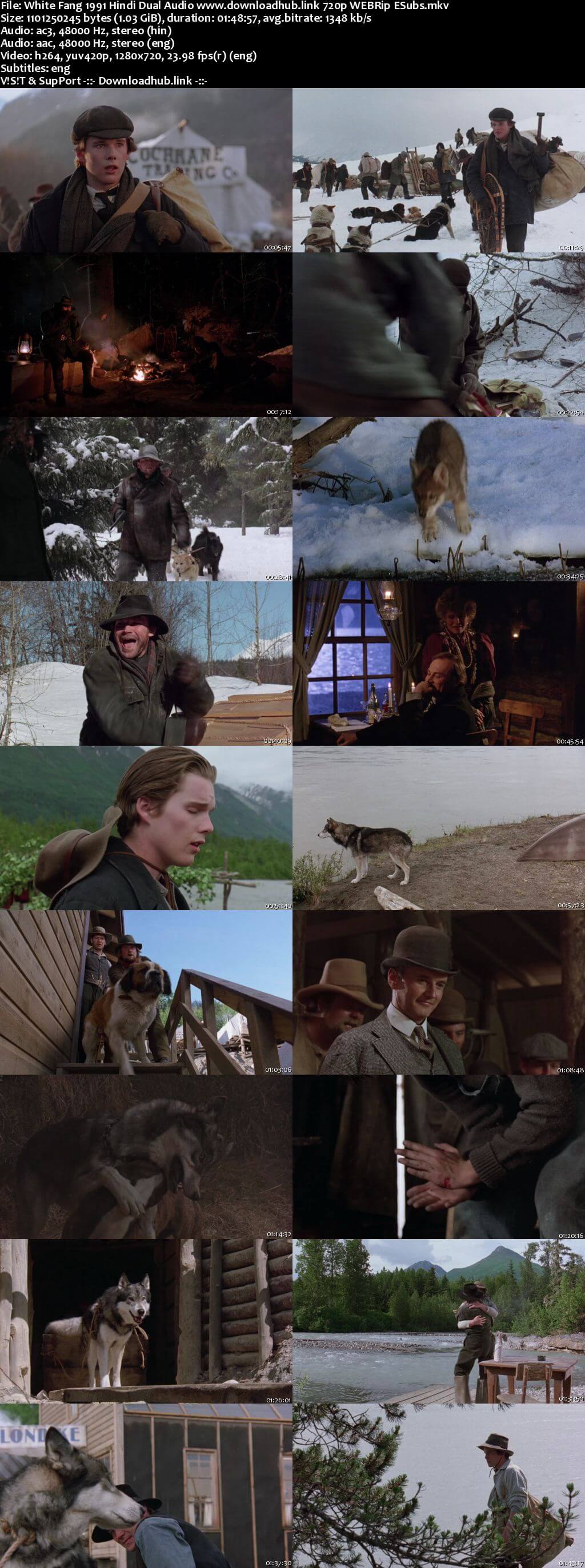White Fang 1991 Hindi Dual Audio 720p WEBRip ESubs White Fang 1991 Hindi Dual Audio 720p WEBRip ESubs
