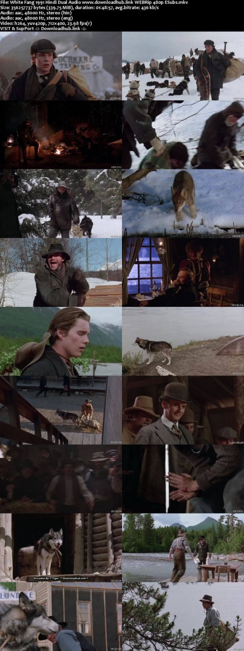 White-Fang-1991-Hindi-Dual-Audio-www.downloadhub.link-WEBRip-480p-ESubs_s.jpg