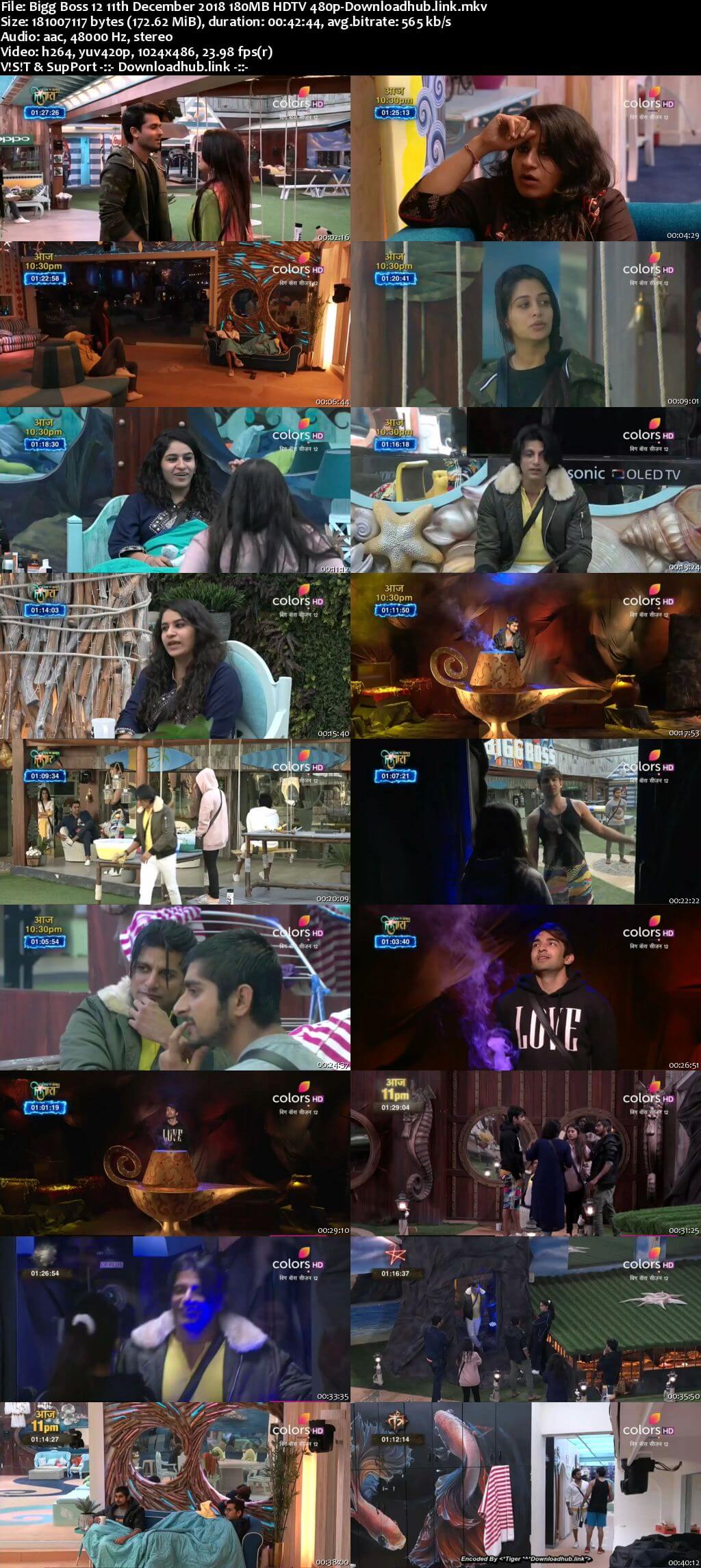 Bigg Boss 12 11 December 2018 Episode 86 HDTV 480p