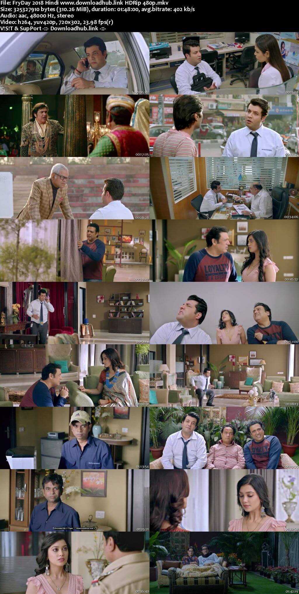 FryDay 2018 Hindi 300MB HDRip 480p