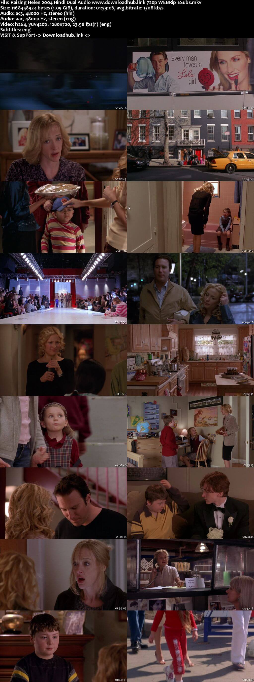 Raising Helen 2004 Hindi Dual Audio 720p WEBRip ESubs