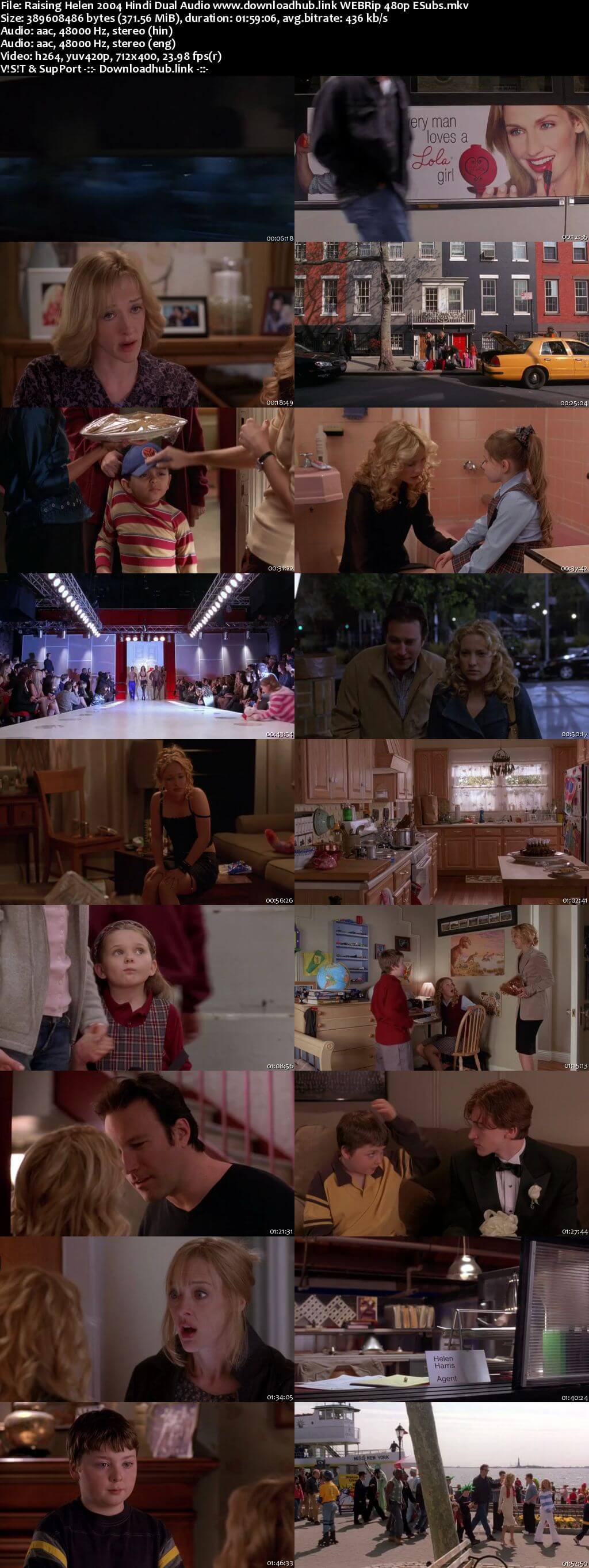 Raising Helen 2004 Hindi Dual Audio 350MB WEBRip 480p ESubs