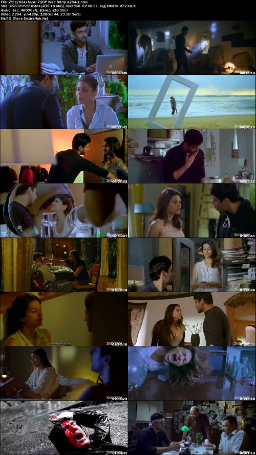 Zid-2014-Hindi-720P-Web-Hdrip-X264-1.jpg