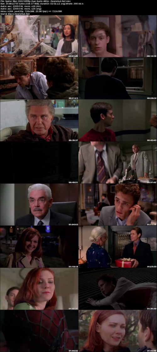 Spider-Man-2002-BRRip-Dual-Audio-480p---Desirehub.Net.jpg