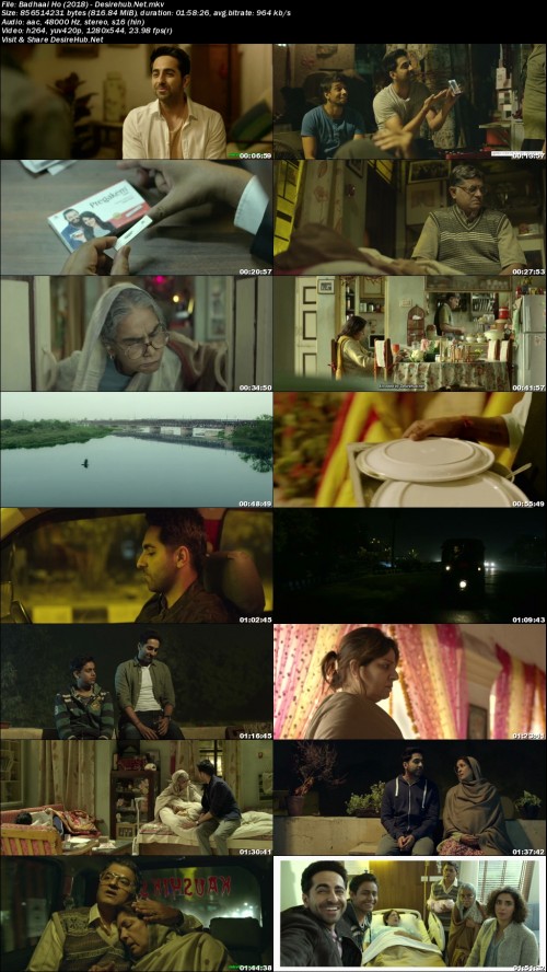 Badhaai-Ho-2018---Desirehub.Net.jpg