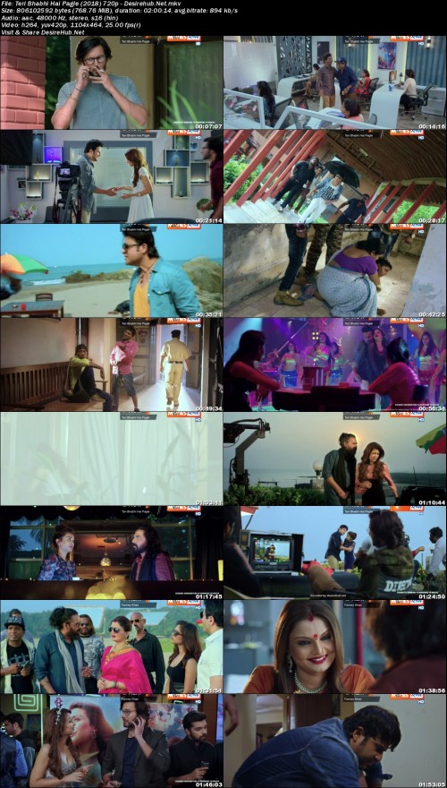 Teri-Bhabhi-Hai-Pagle-2018-720p---Desirehub.Net.jpg
