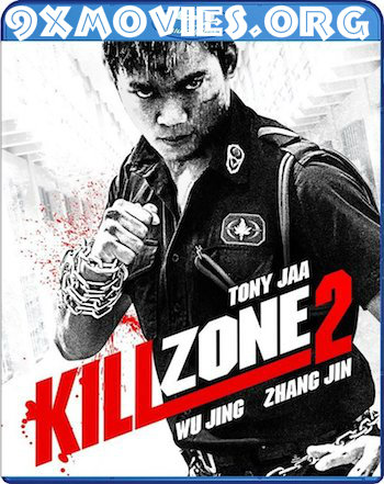 Kill-Zone-2-2015-Dual-Audio-Hindi-UNCUT.jpg