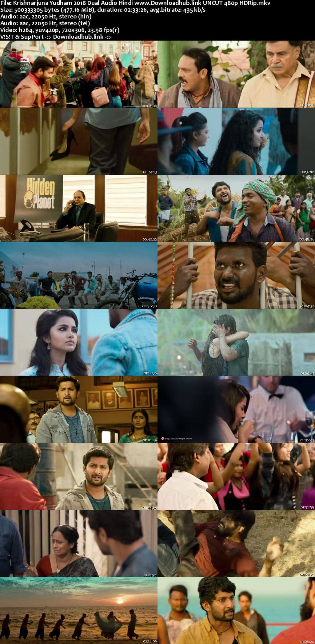 Krishnarjuna Yudham 2018 Hindi Dual Audio 450MB UNCUT HDRip 480p ESubs