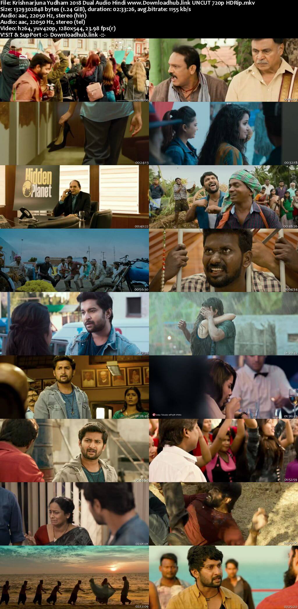 Krishnarjuna Yudham 2018 Hindi Dual Audio 720p UNCUT HDRip ESubs