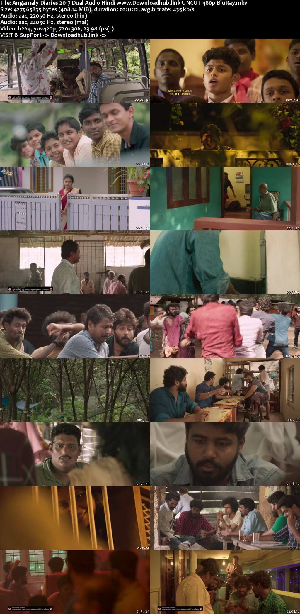 Angamaly Diaries 2017 Hindi Dual Audio 400MB UNCUT BluRay 480p ESubs