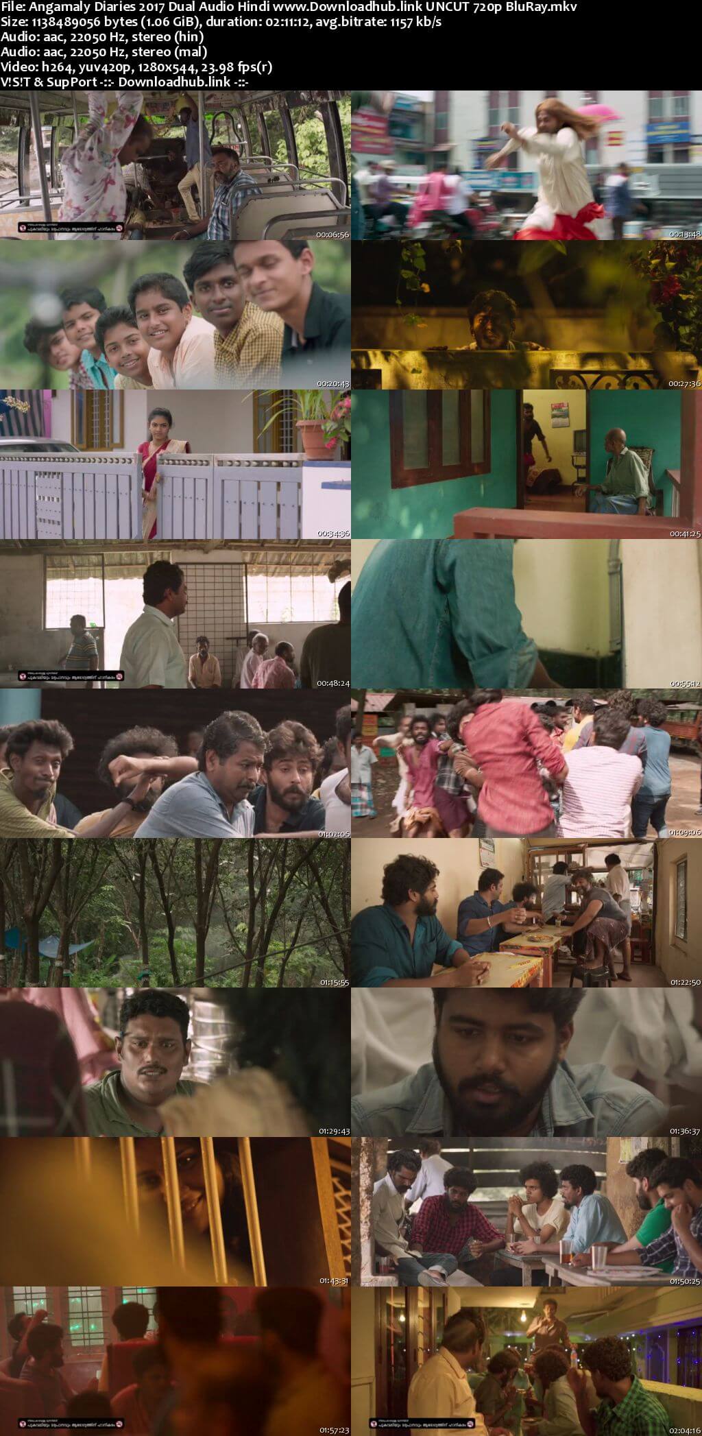 Angamaly Diaries 2017 Hindi Dual Audio 720p UNCUT BluRay ESubs