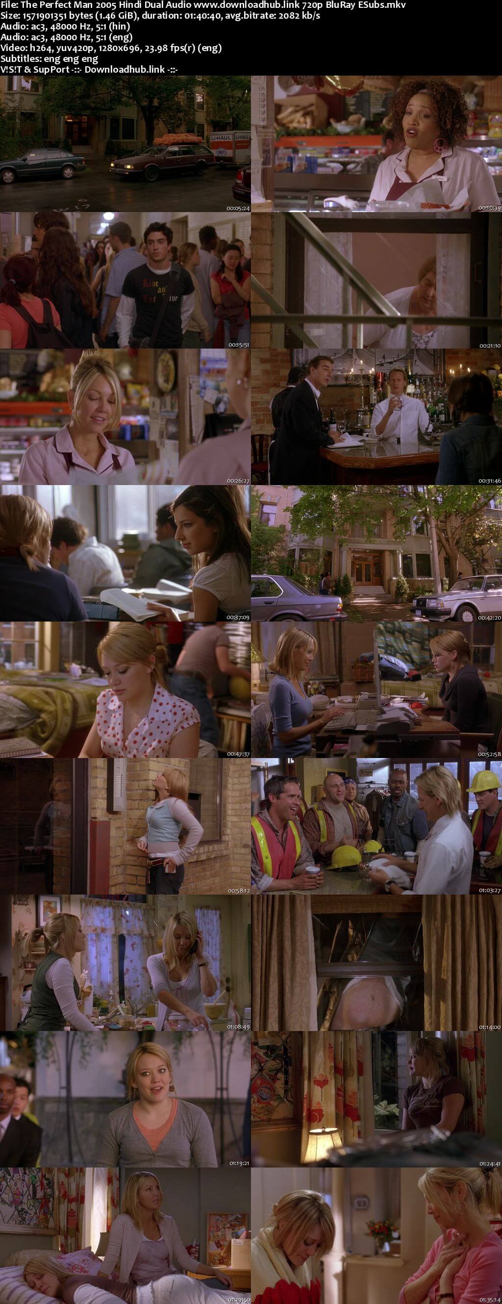 The Perfect Man 2005 Hindi Dual Audio 720p BluRay ESubs