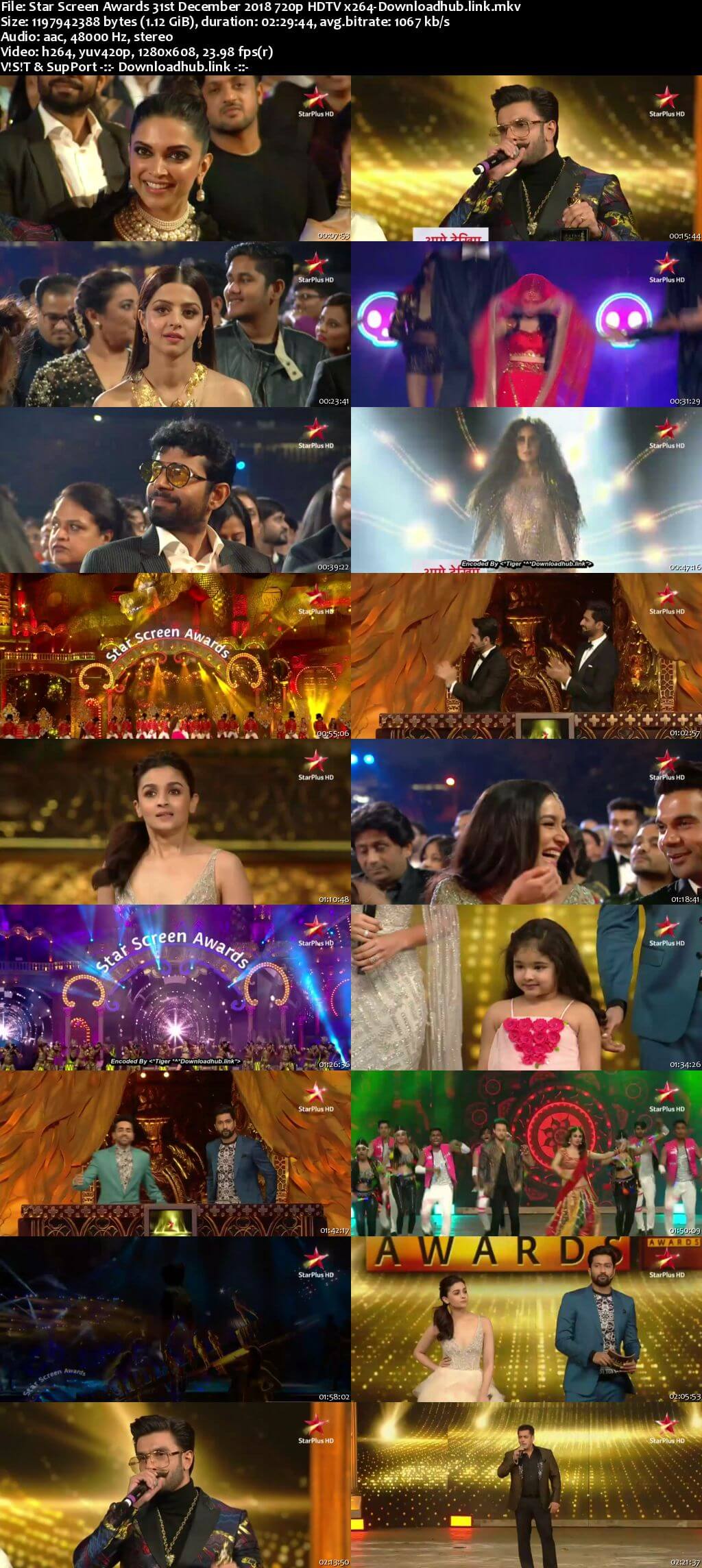 Star Screen Awards 31st December 2018 720p HDTV x264