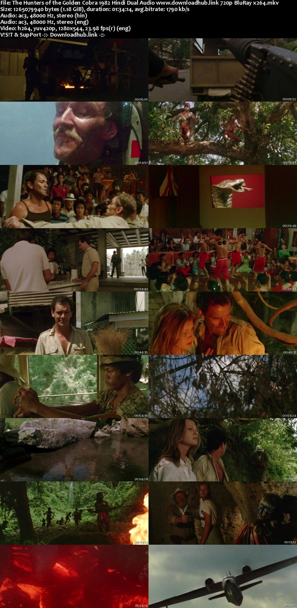 The Hunters of the Golden Cobra 1982 Hindi Dual Audio 720p BluRay x264