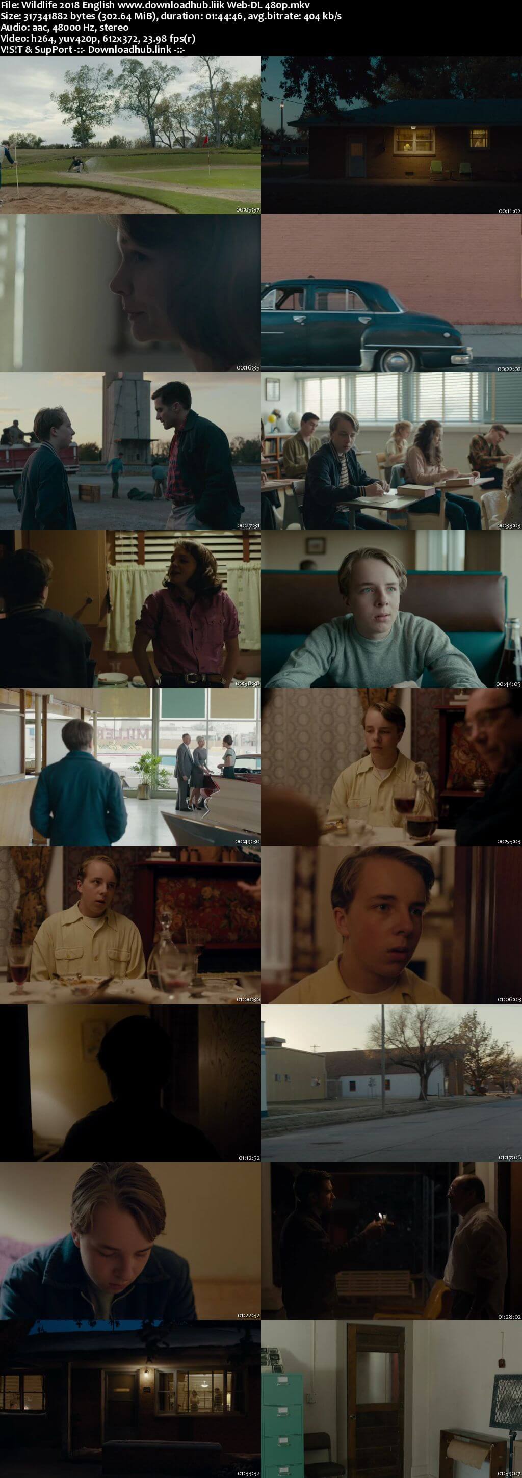 Wildlife 2018 English 300MB Web-DL 480p