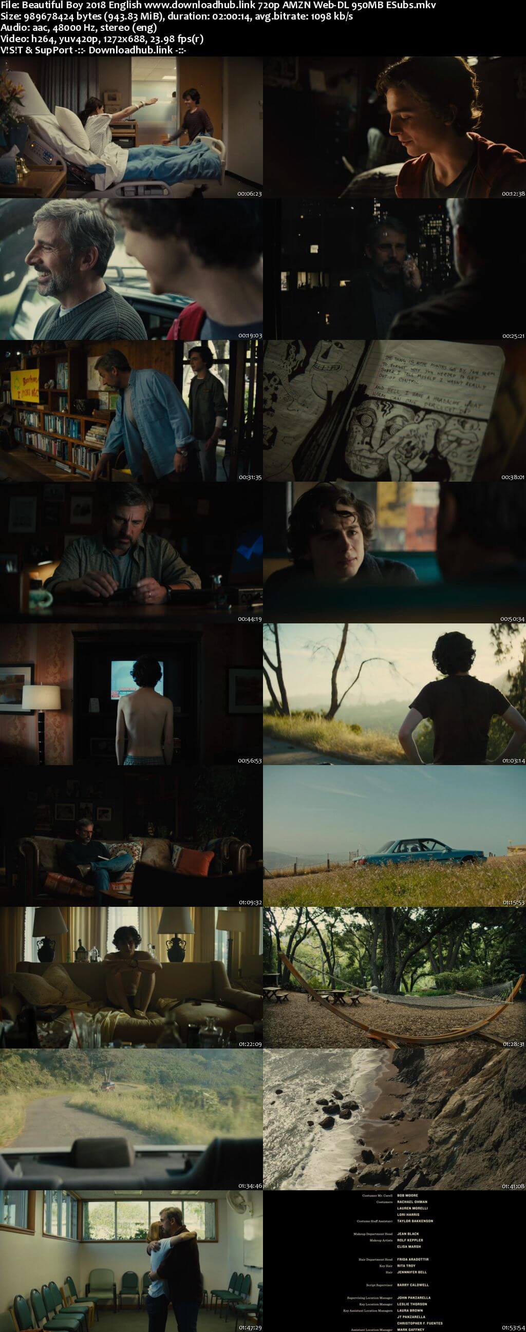 Beautiful Boy 2018 English 720p AMZN Web-DL 950MB ESubs