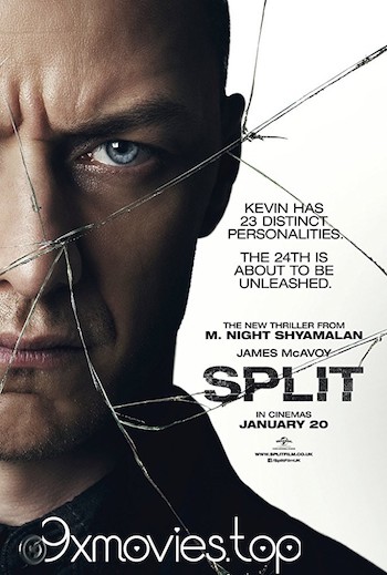 Split-2016-Dual-Audio-ORG-Hindi.jpg
