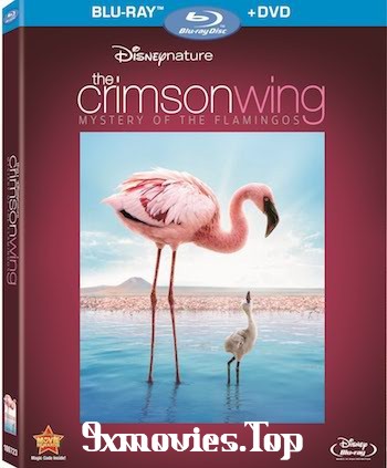 The-Crimson-Wing-Mystery-of-the-Flamingos-2008-Dual-Audio-Hindi.jpg