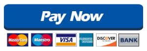 Paynow-300x105.png