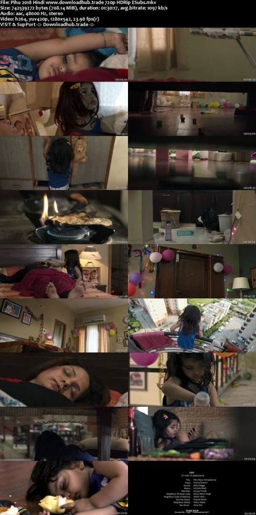 Pihu-2018-Hindi-www.downloadhub.trade-720p-HDRip-ESubs_s.jpg