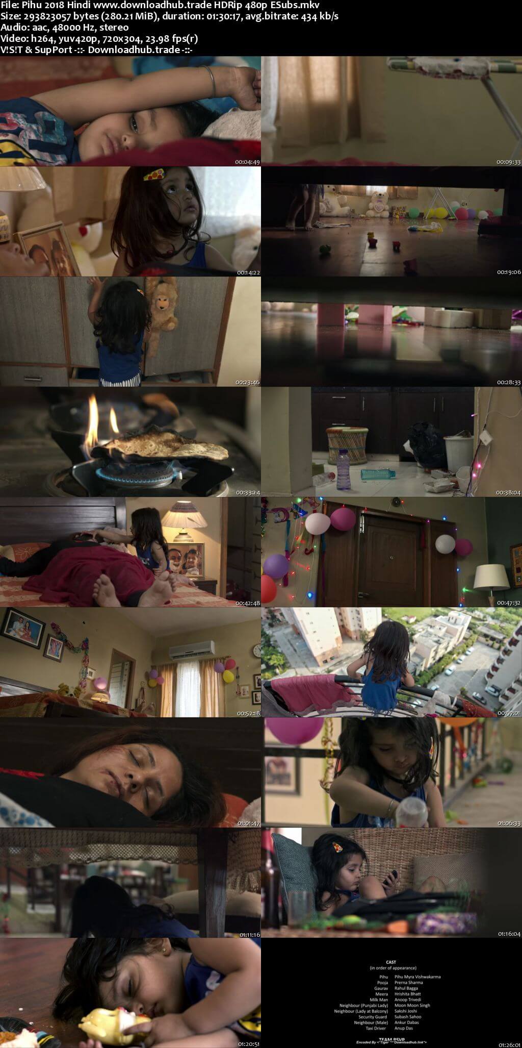 Pihu 2018 Hindi 280MB HDRip 480p ESubs Pihu 2018 Hindi 280MB HDRip 480p ESubs