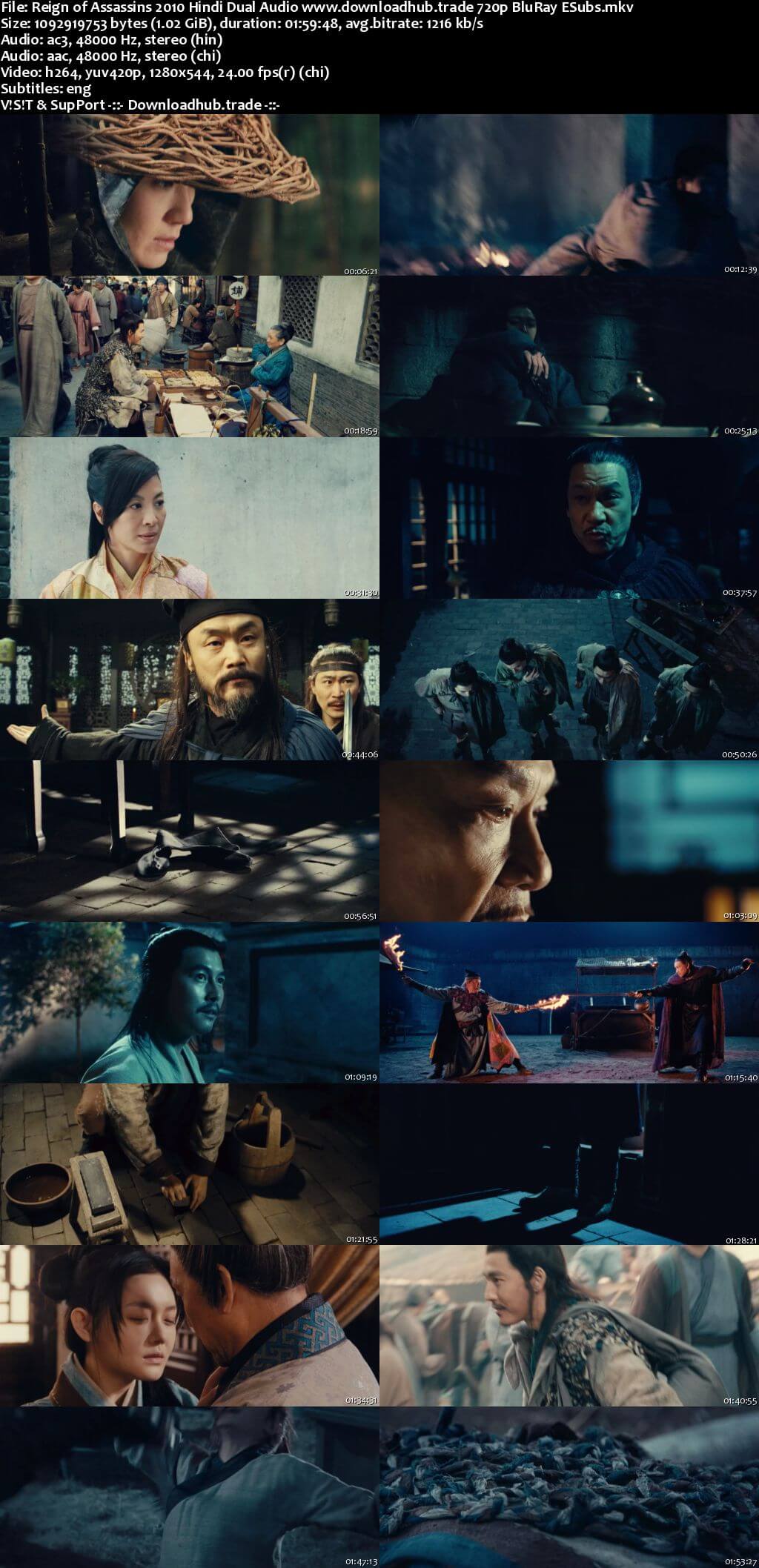 Reign of Assassins 2010 Hindi Dual Audio 720p BluRay ESubs