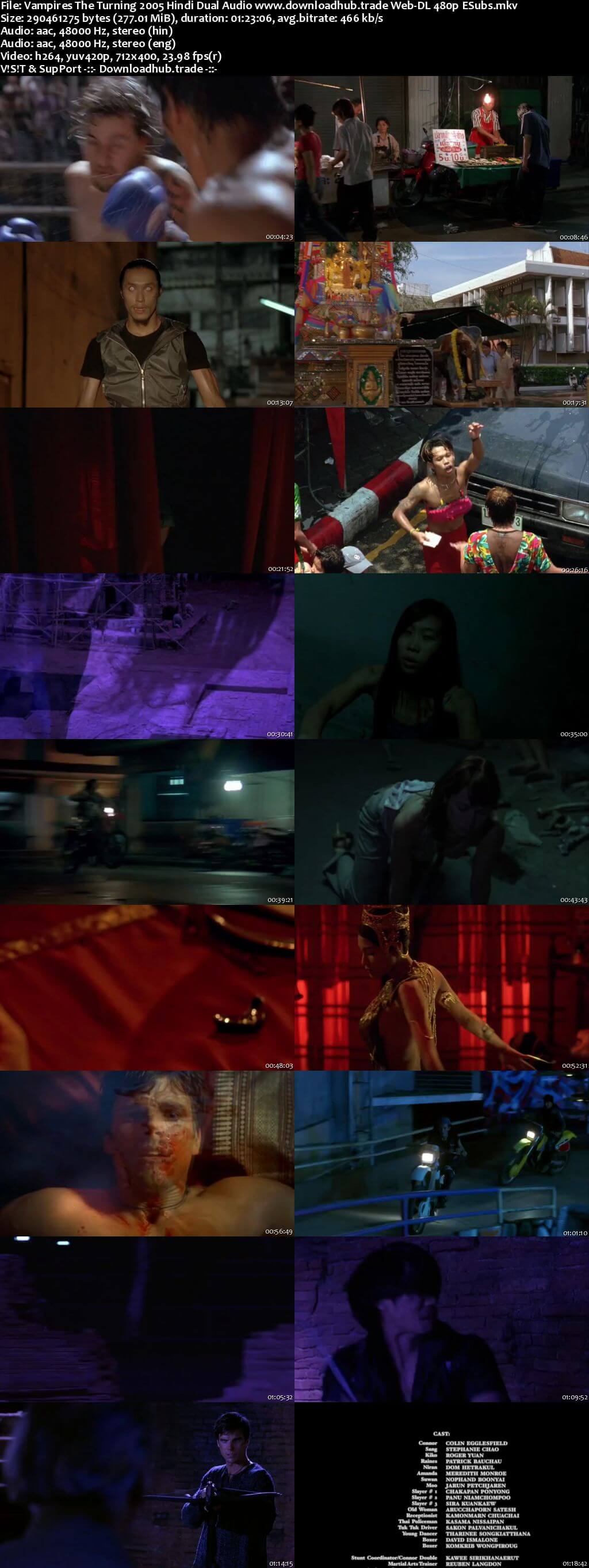Vampires The Turning 2005 Hindi Dual Audio 280MB Web-DL 480p ESubs Vampires The Turning 2005 Hindi Dual Audio 280MB Web-DL 480p ESubs