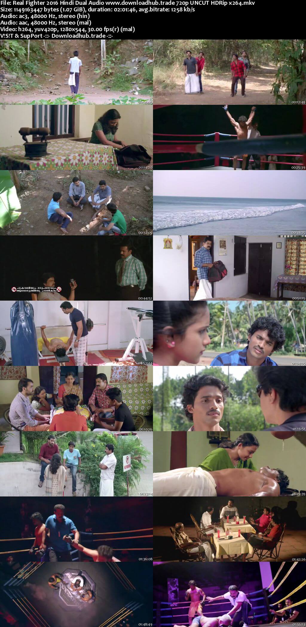 Real Fighter 2016 Hindi Dual Audio 720p UNCUT HDRip x264