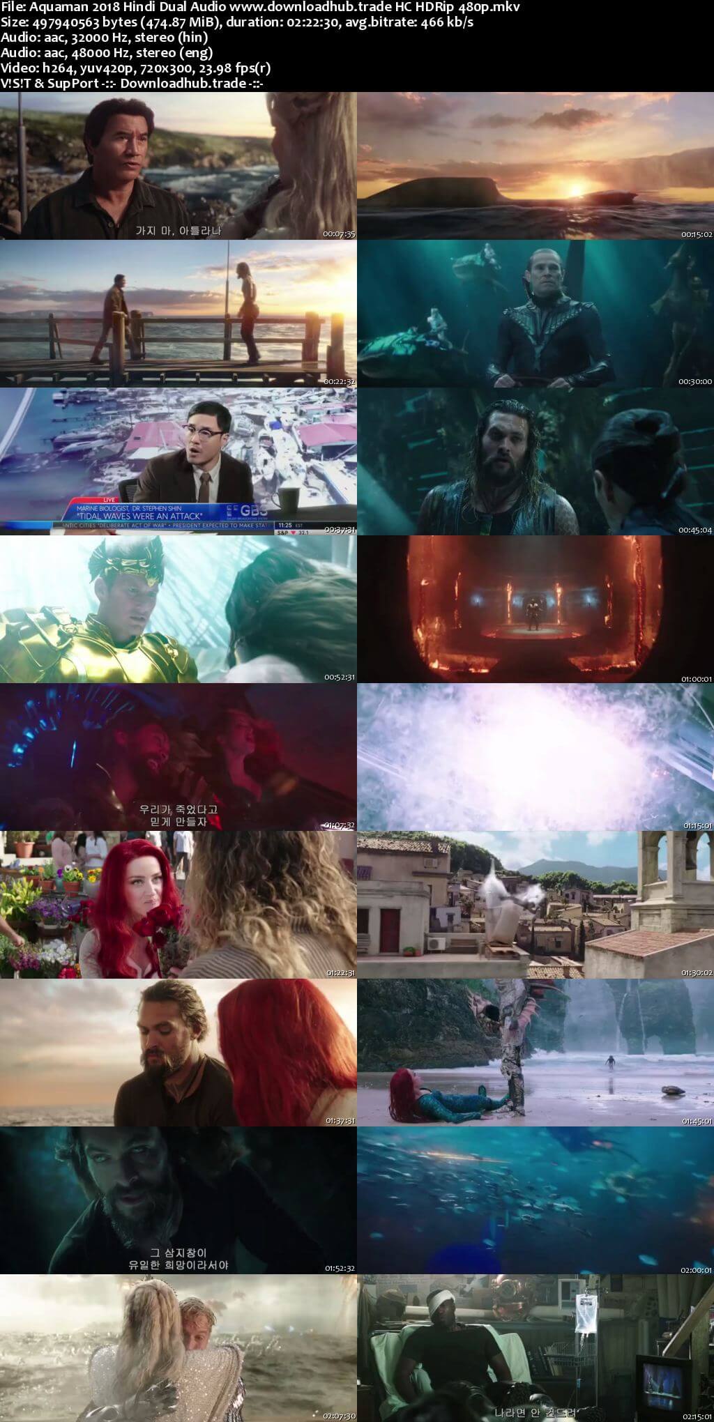 Aquaman 2018 Hindi Dual Audio 450MB HC HDRip 480p