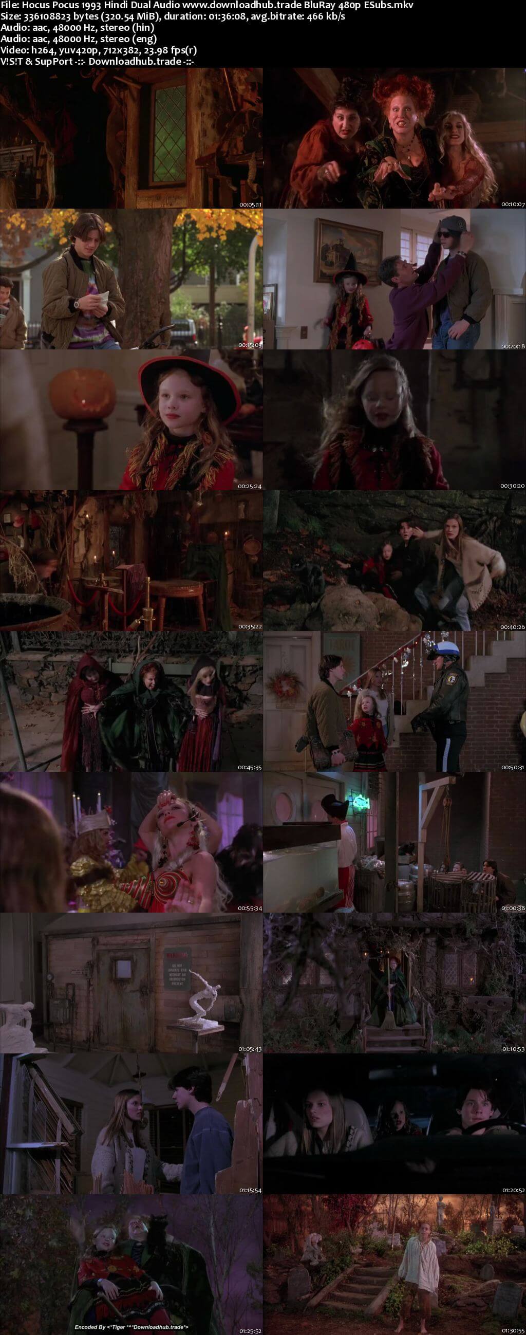 Hocus Pocus 1993 Hindi Dual Audio 300MB BluRay 480p ESubs