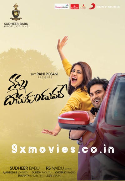 Nannu-Dochukunduvate-2018-Dual-Audio-Hindi-UNCUT.jpg