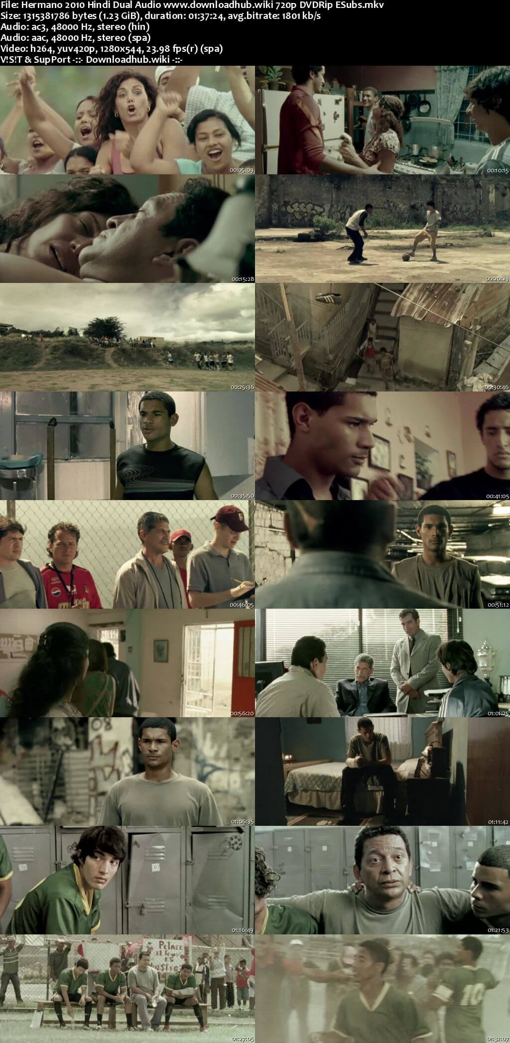 Hermano 2010 Hindi Dual Audio 720p DVDRip ESubs