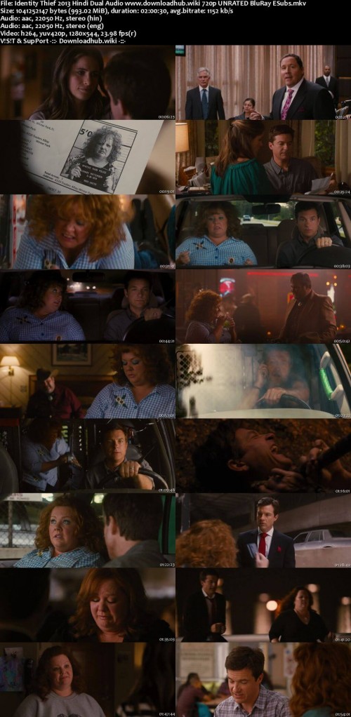 Identity-Thief-2013-Hindi-Dual-Audio-www.downloadhub.wiki-720p-UNRATED-BluRay-ESubs_s.jpg