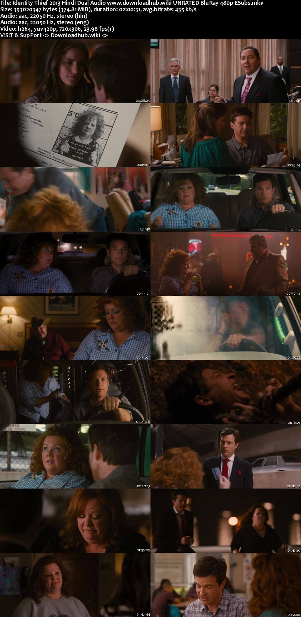 Identity Thief 2013 Hindi Dual Audio 350MB UNRATED BluRay 480p ESubs