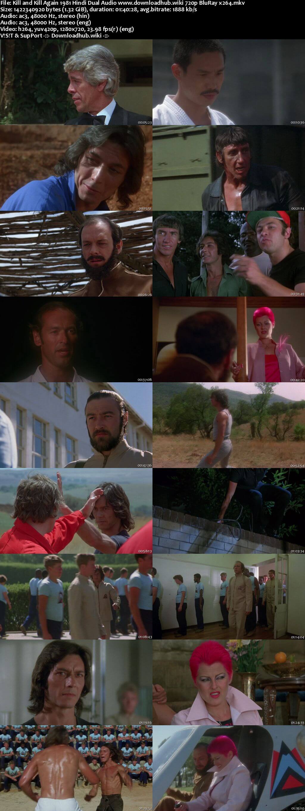 Kill and Kill Again 1981 Hindi Dual Audio 720p BluRay x264