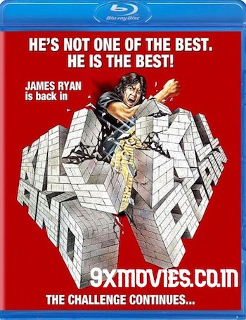 Kill-And-Kill-Again-1981-Dual-Audio-Hindi.jpg