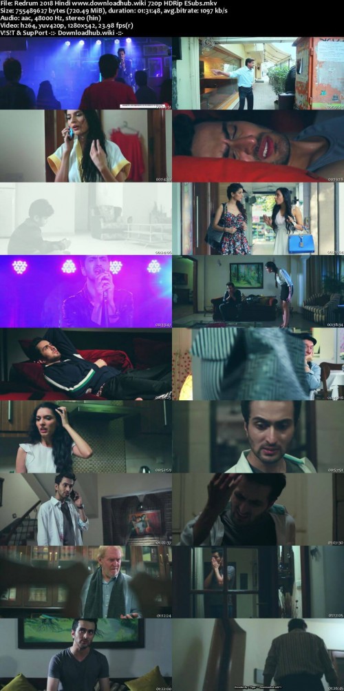 Redrum-2018-Hindi-www.downloadhub.wiki-720p-HDRip-ESubs_s.jpg