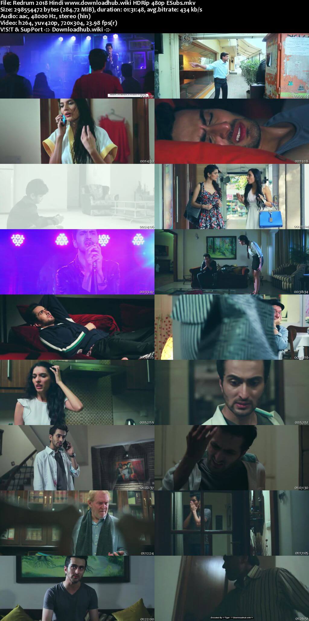 Redrum 2018 Hindi 280MB HDRip 480p ESubs