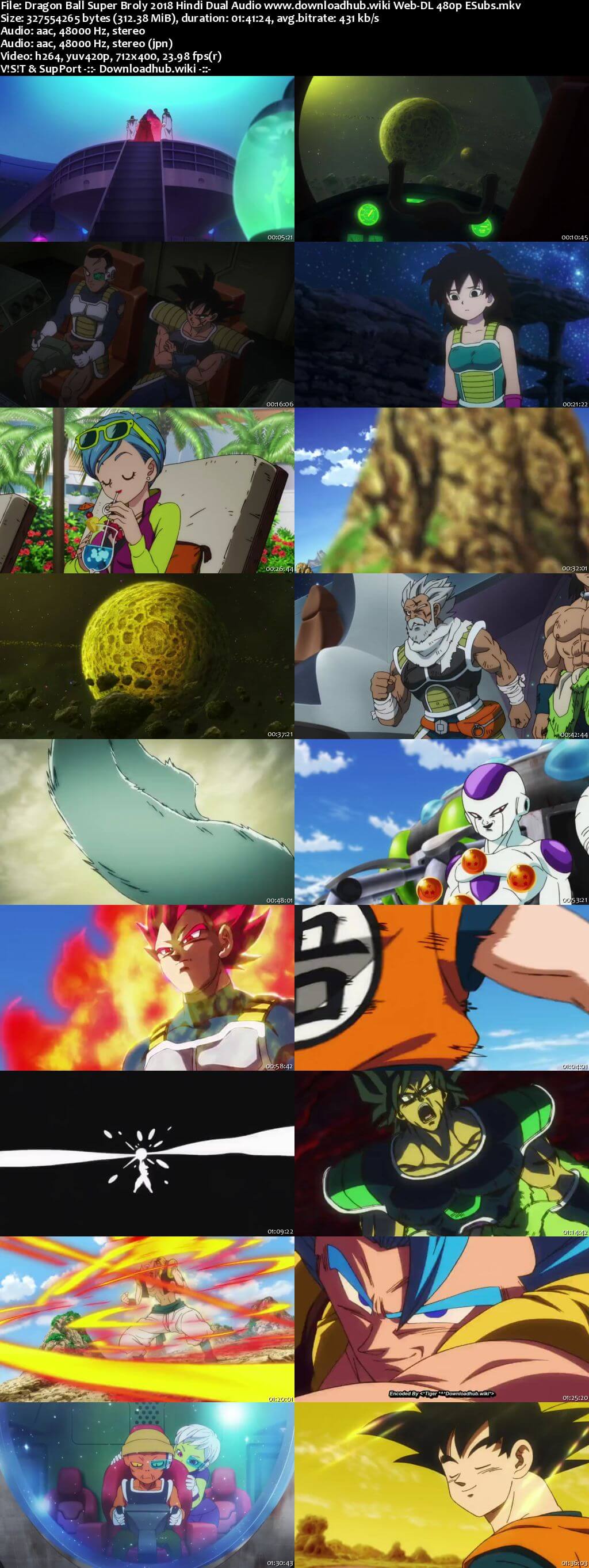 Dragon Ball Super Broly 2018 Hindi Dual Audio 300MB Web-DL 480p ESubs