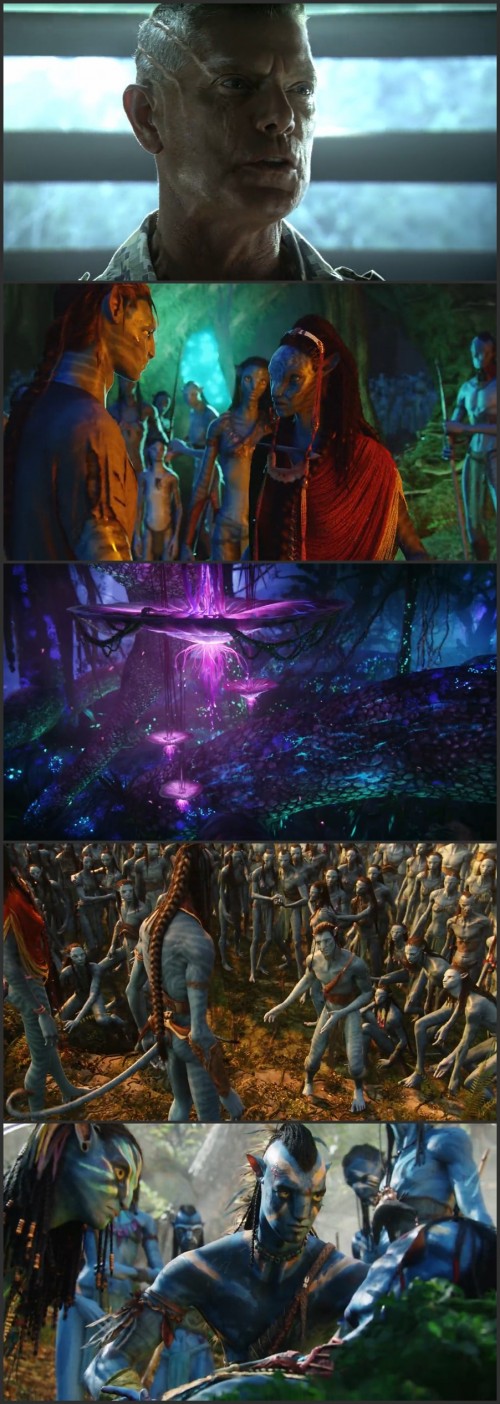 SSR-Movies---Avatar-2009-EXTENDED-Dual-Audio-Hindi-2.0---English-2.0-720p-BluRay-x264-1.4GB-ESubs.mkv.jpg