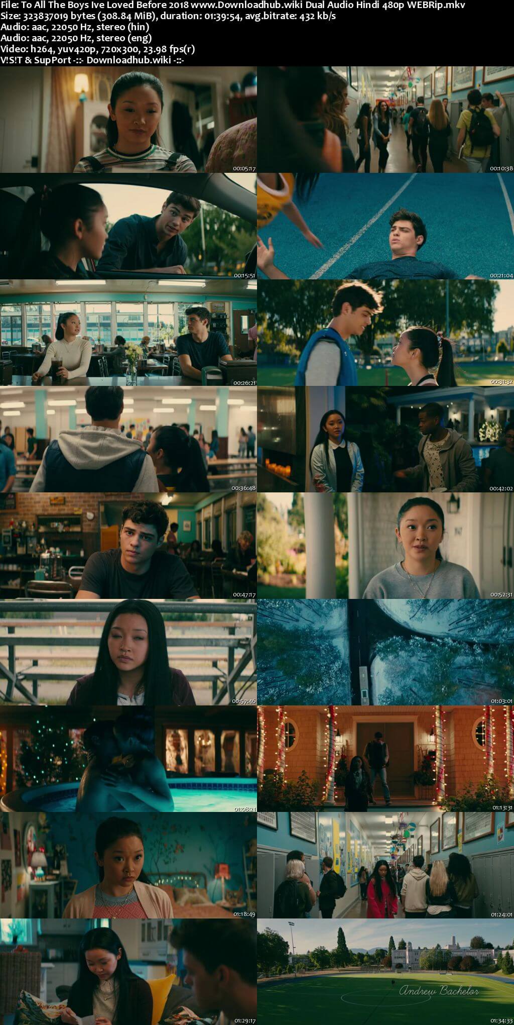 To All the Boys Ive Loved Before 2018 Hindi Dual Audio 300MB WEBRip 480p ESubs
