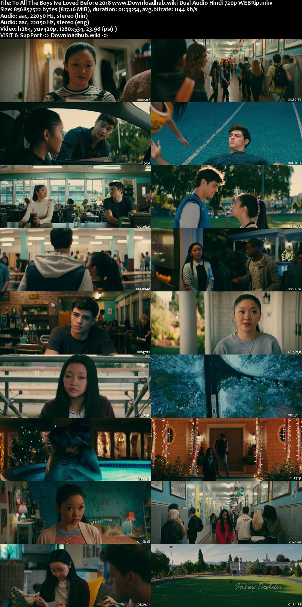 To All the Boys Ive Loved Before 2018 Hindi Dual Audio 720p WEBRip ESubs