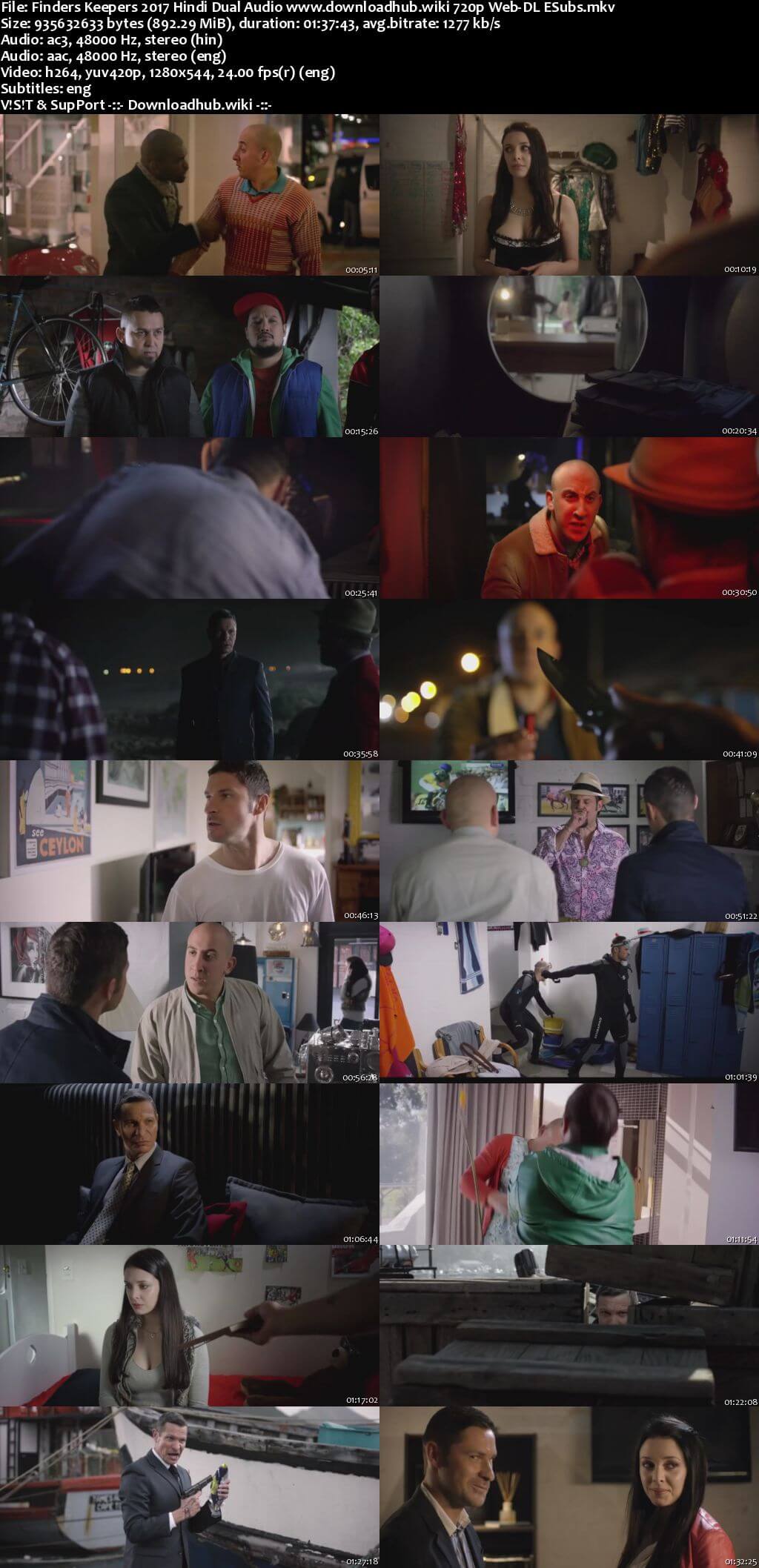 Finders Keepers 2017 Hindi Dual Audio 720p Web-DL ESubs