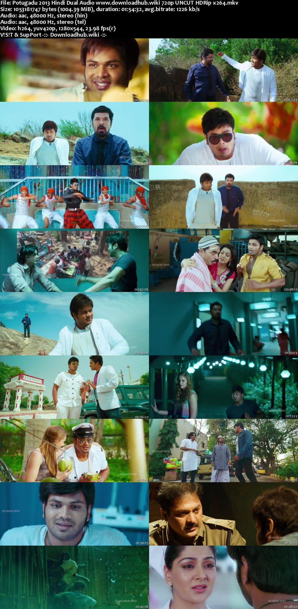 Potugadu 2013 Hindi Dual Audio 720p UNCUT HDRip x264