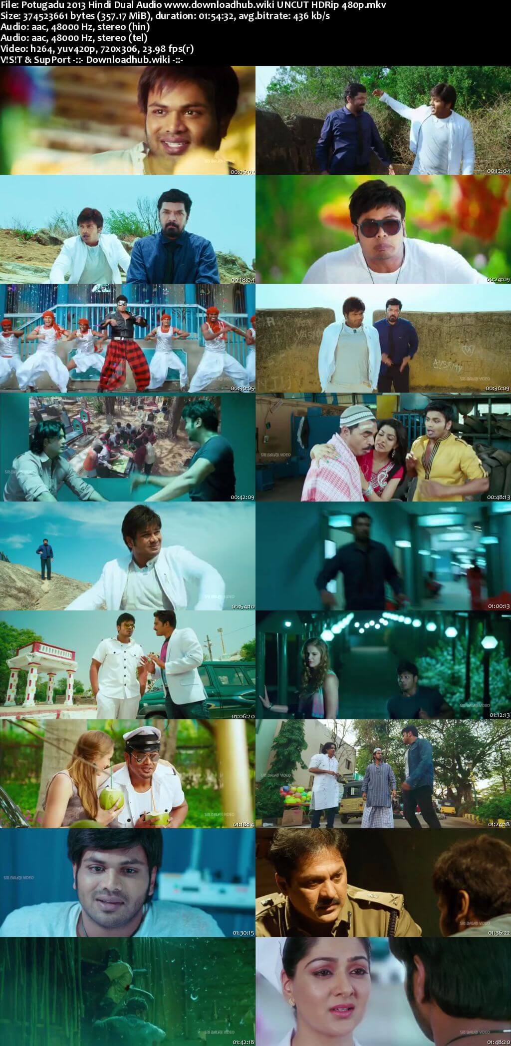Potugadu 2013 Hindi Dual Audio 350MB UNCUT HDRip 480p