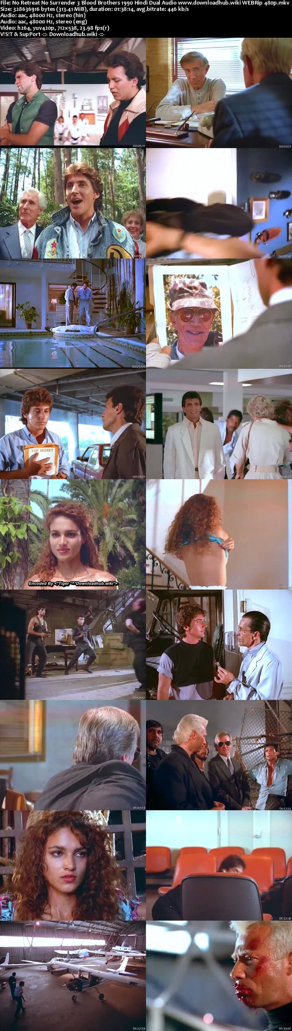 No Retreat No Surrender 3 Blood Brothers 1990 Hindi Dual Audio 300MB WEBRip 480p
