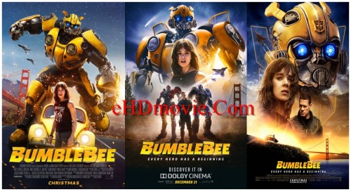Bumblebee-20183.jpg