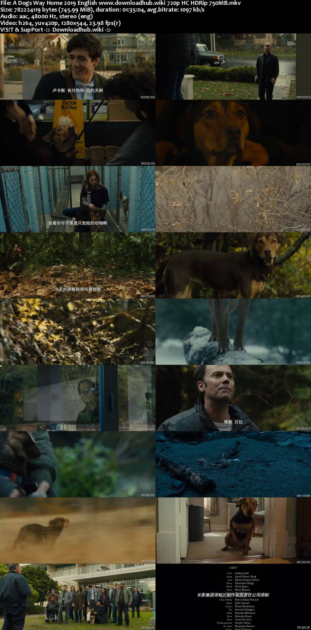 A Dogs Way Home 2019 English 720p HC HDRip 750MB