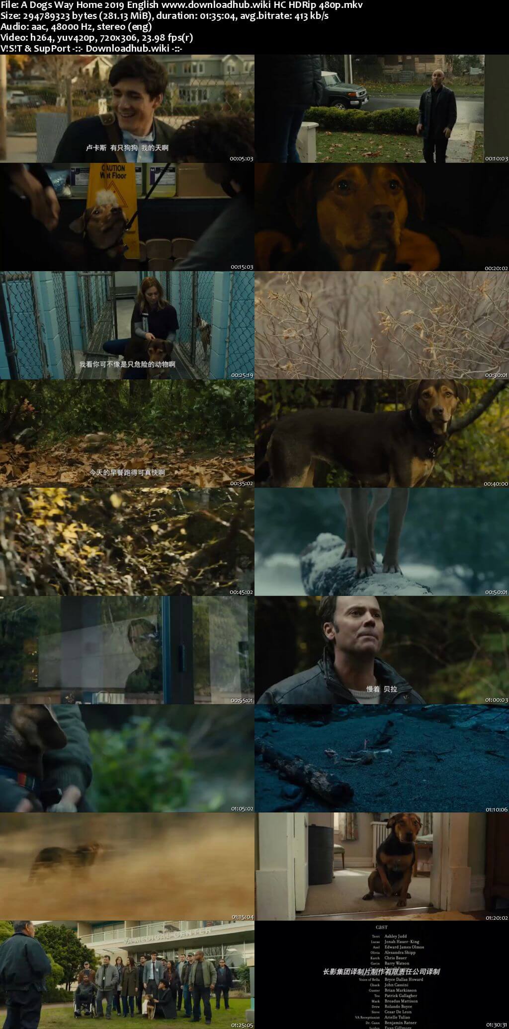 A Dogs Way Home 2019 English 280MB HC HDRip 480p A Dogs Way Home 2019 English 280MB HC HDRip 480p