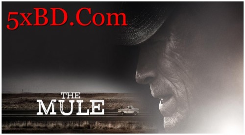 The-Mule-2018.jpg